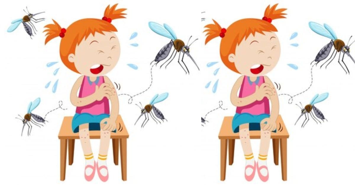 Prevent Mosquito Bites Through Jeans